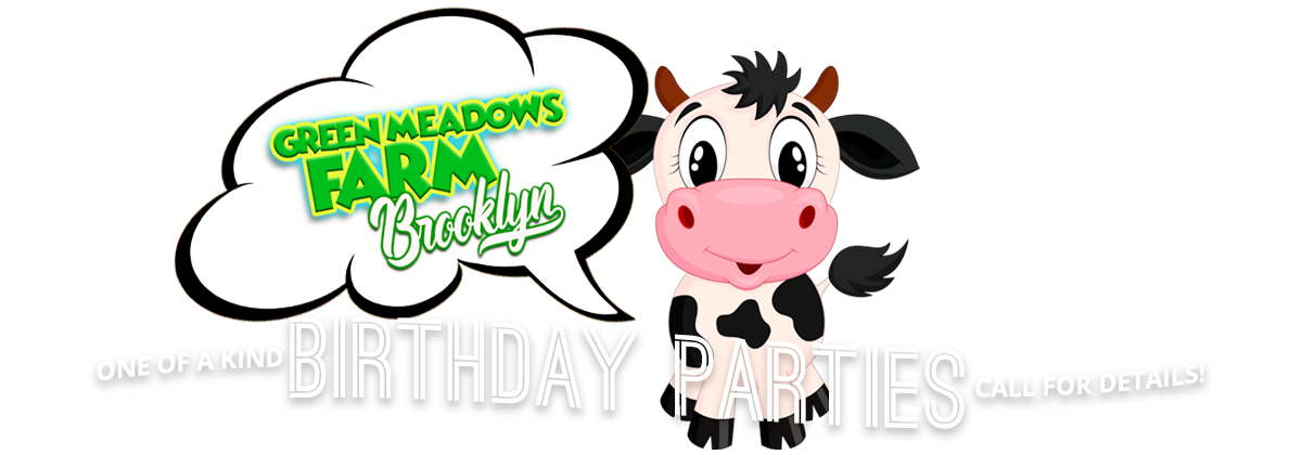 Birthday Parties Party Farm Animals Brooklyn Aviator Sports Center 