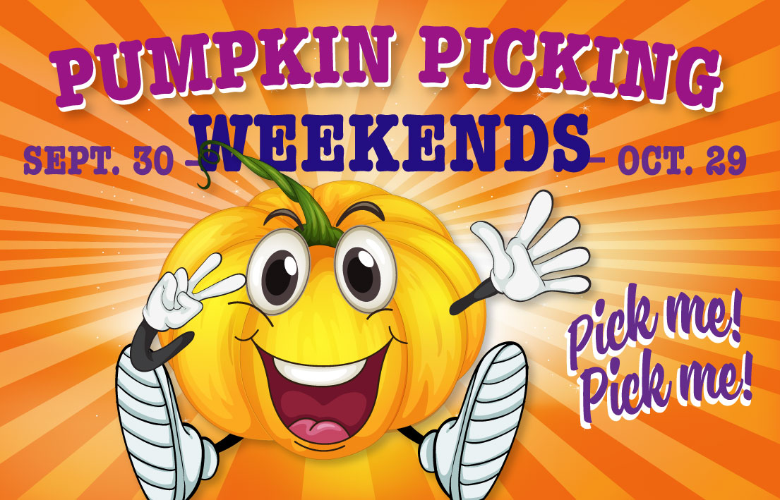 Green Meadows Farm Brooklyn Aviator Sports center Pumpkin Picking Weekends October