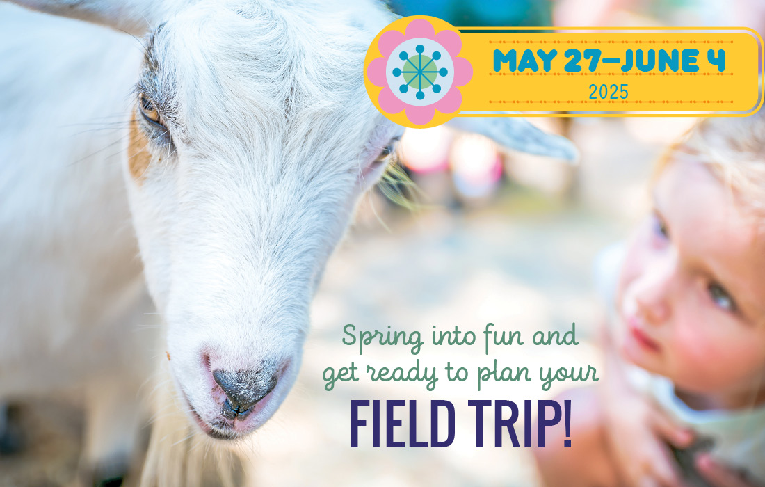 Green Meadows Farm Brooklyn Spring Field Trips for Schools in May and June.